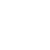 corolla raceway checkered flag icon